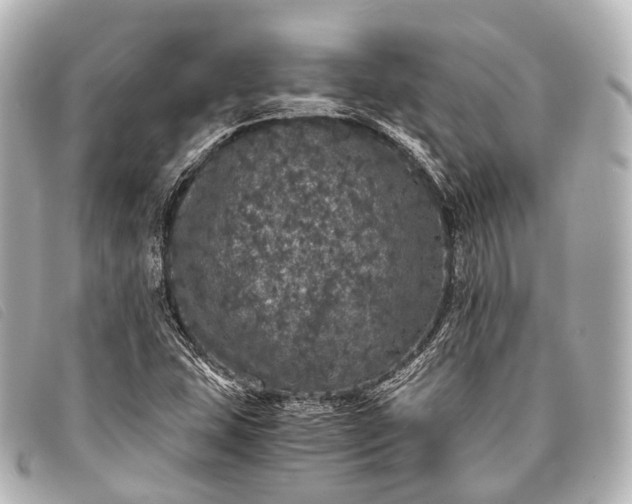 X0000093371407200710251143