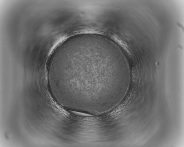 X0000093371408200710251143