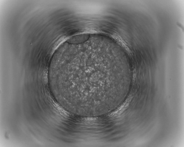 X0000093371409200710251143