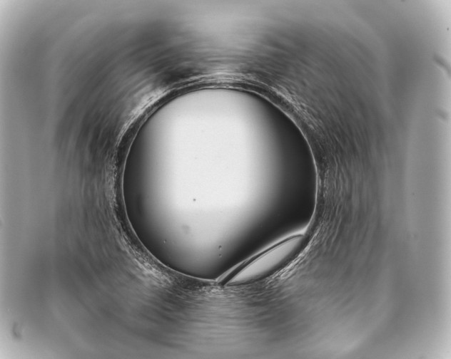 X0000093371410200710251143