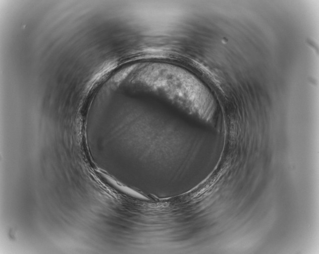 X0000093371411200710251143