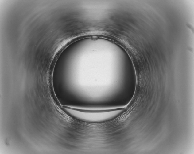 X0000093371412200710251143