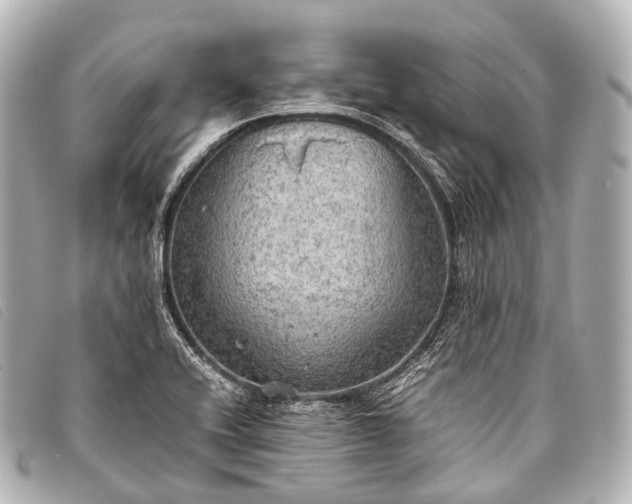 X0000093371416200710251143