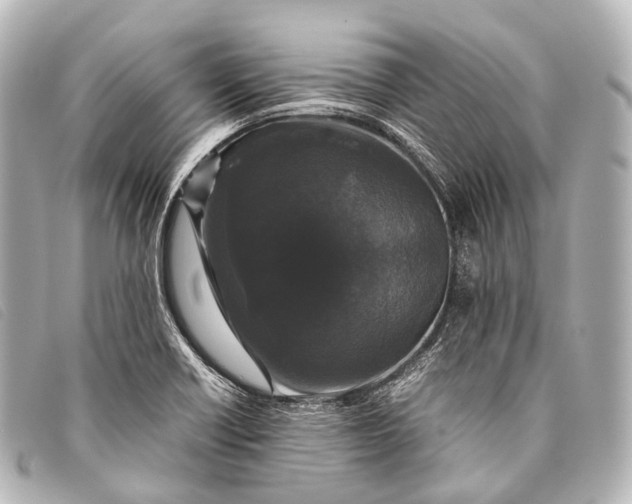 X0000093371418200710251143