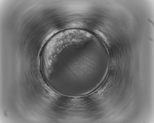 X0000093371419200710251143