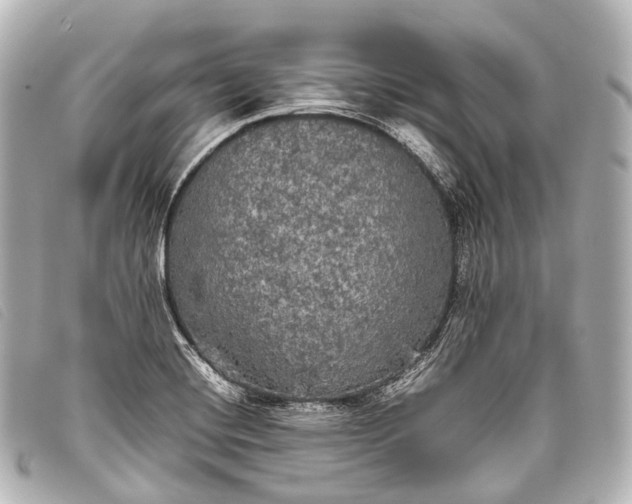 X0000093371420200710251143