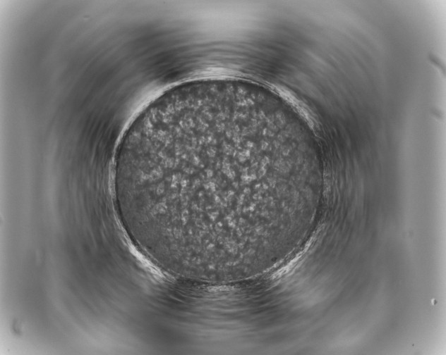 X0000093371421200710251143