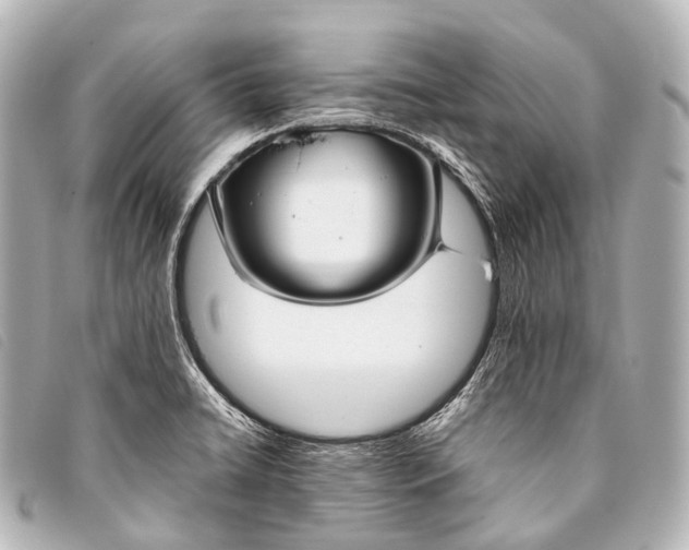 X0000093371422200710251143