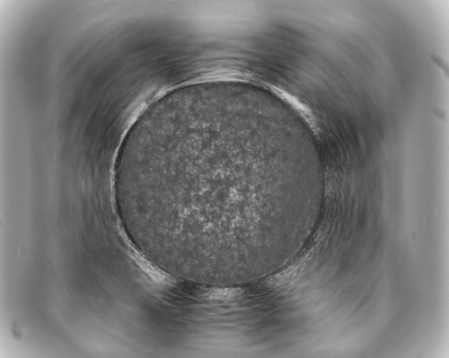 X0000093371423200710251143