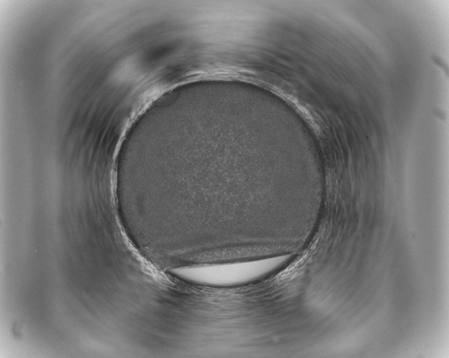 X0000093371424200710251143