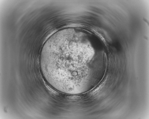 X0000093371425200710251144