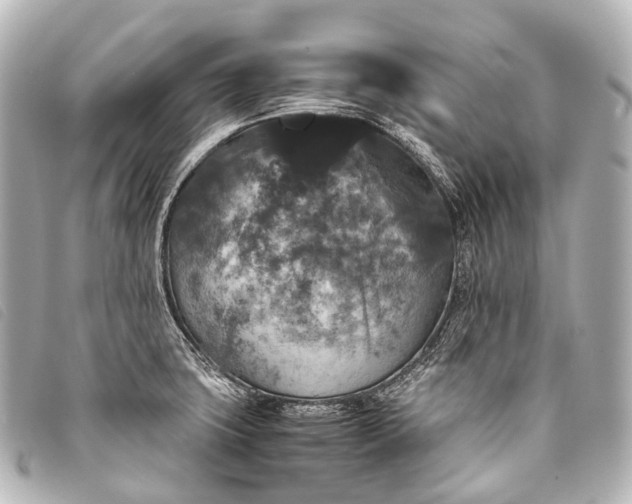 X0000093371427200710251144