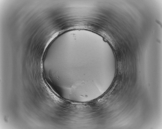 X0000093371428200710251144