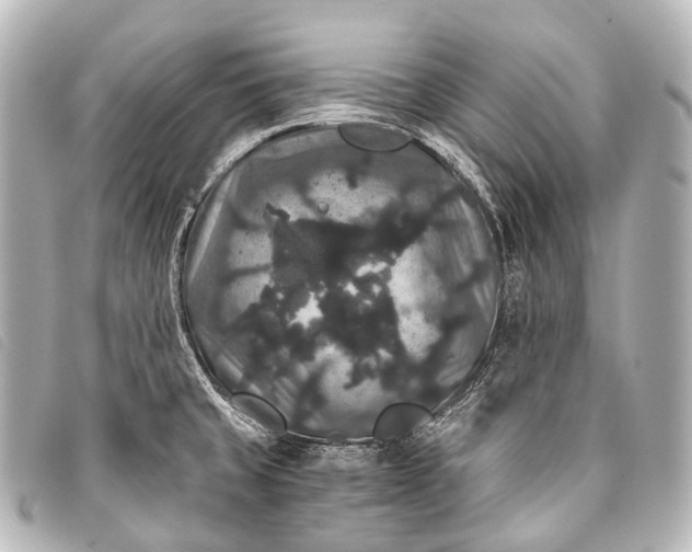 X0000093371429200710251144