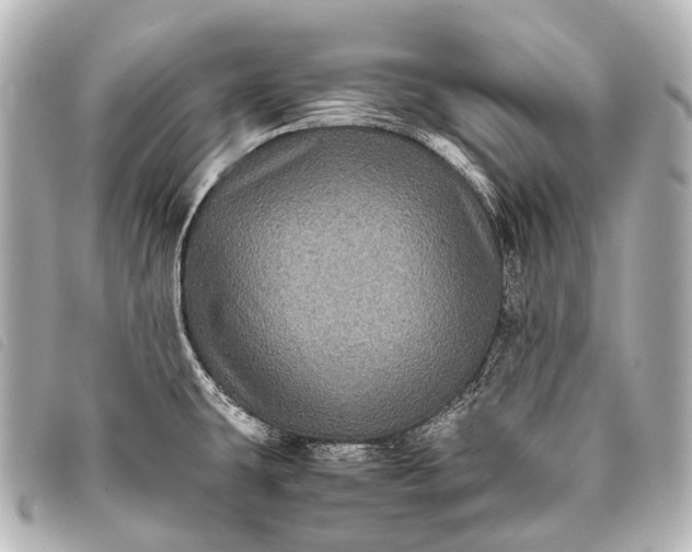 X0000093371431200710251144