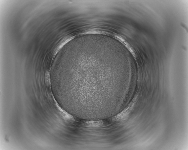 X0000093371433200710251144