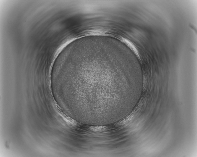 X0000093371435200710251144