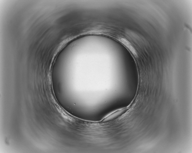 X0000093371436200710251144