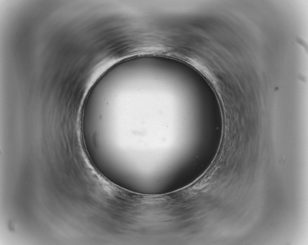 X0000093371440200710251144