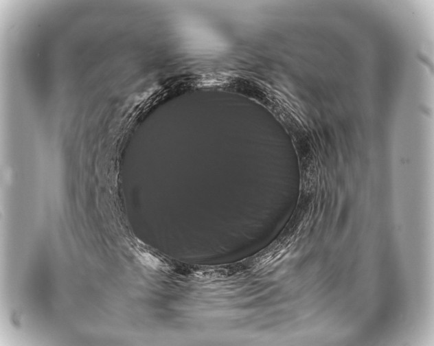 X0000093371441200710251143