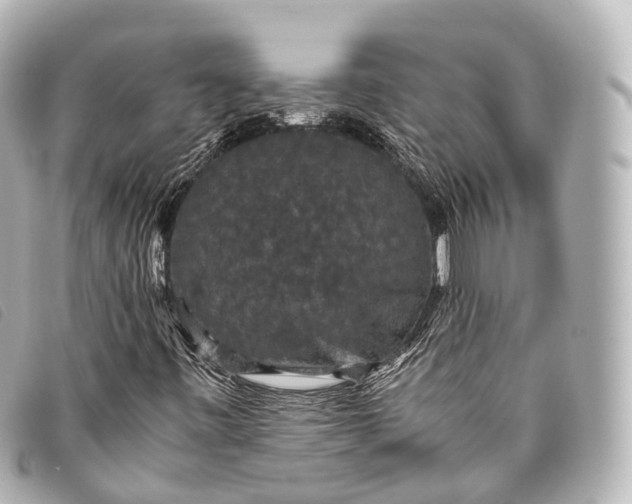 X0000093371443200710251143