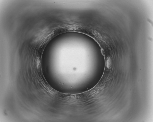 X0000093371444200710251143