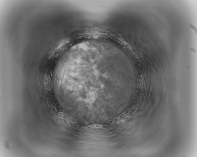 X0000093371446200710251143