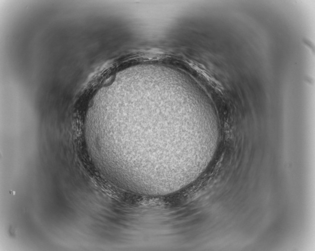 X0000093371447200710251143