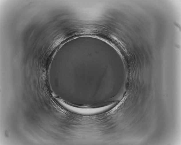 X0000093371449200710251143