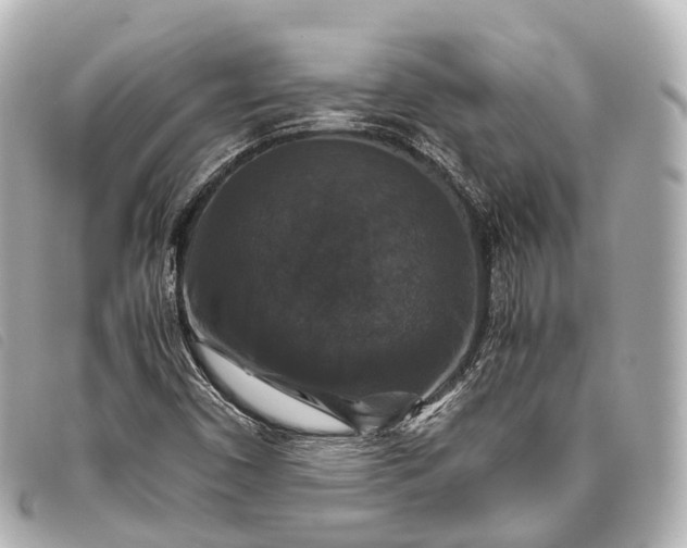 X0000093371450200710251143