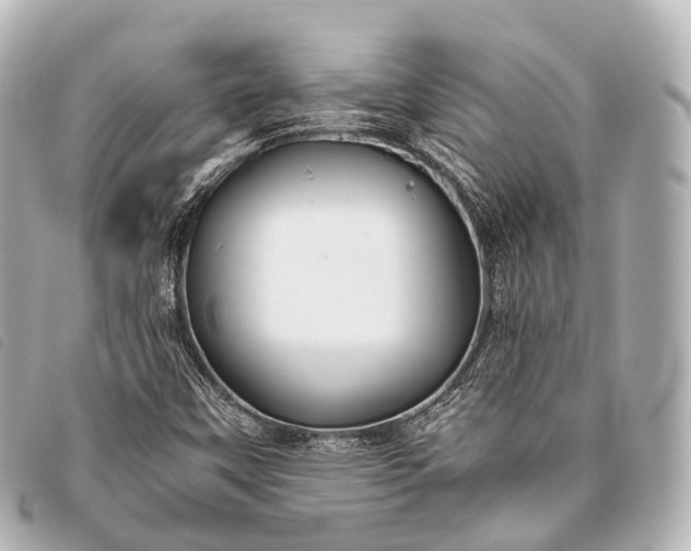 X0000093371451200710251143