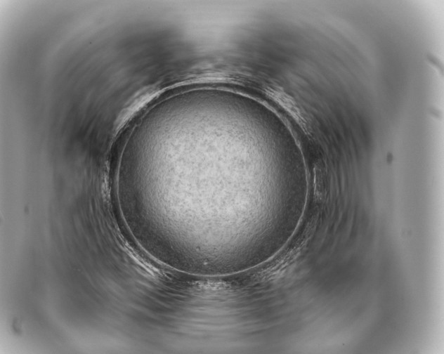 X0000093371452200710251143