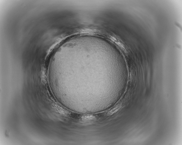 X0000093371454200710251143