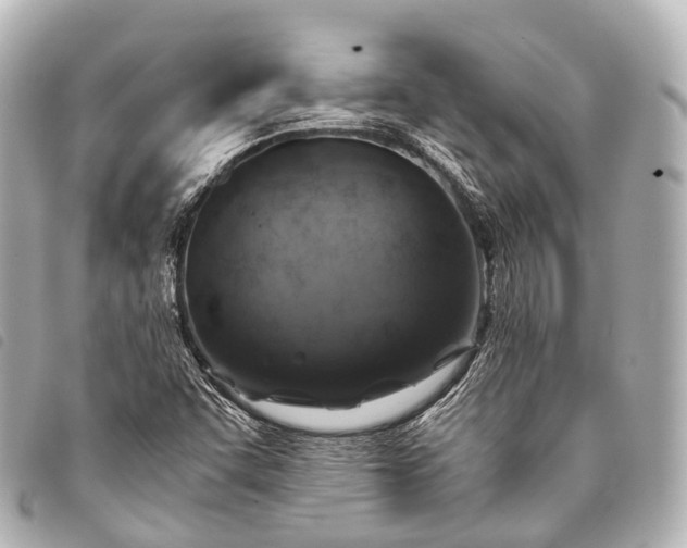 X0000093371455200710251143