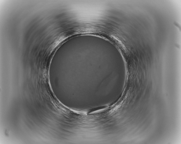 X0000093371457200710251143