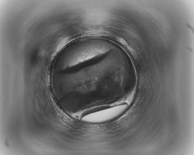 X0000093371459200710251143