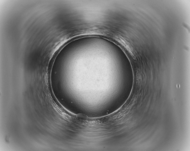 X0000093371460200710251143