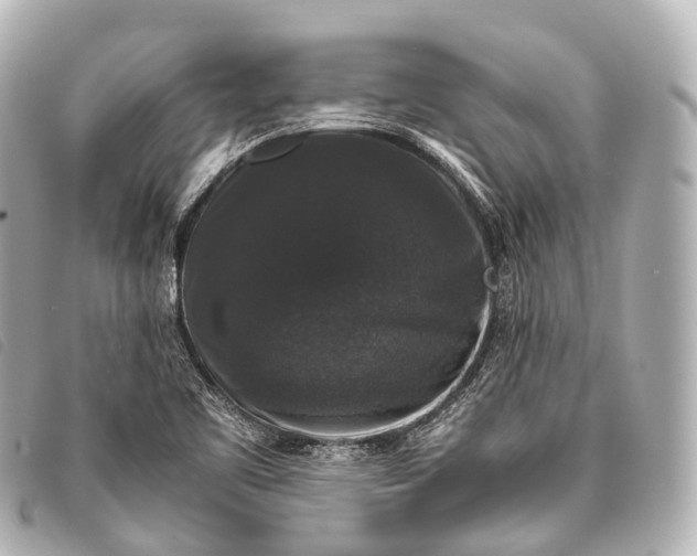 X0000093371461200710251143