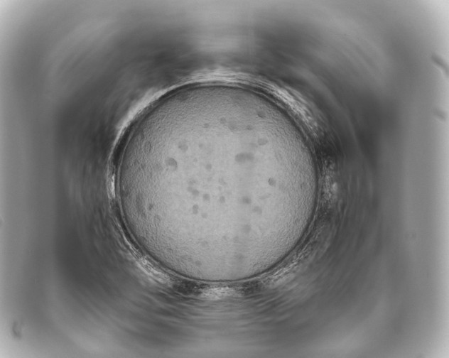 X0000093371462200710251143