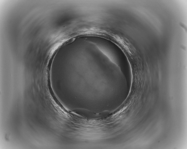 X0000093371463200710251143