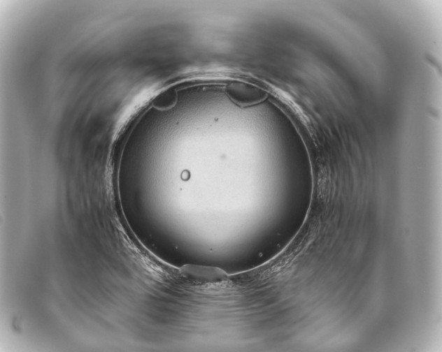 X0000093371464200710251143