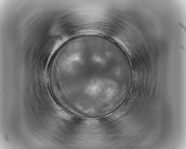 X0000093371466200710251143