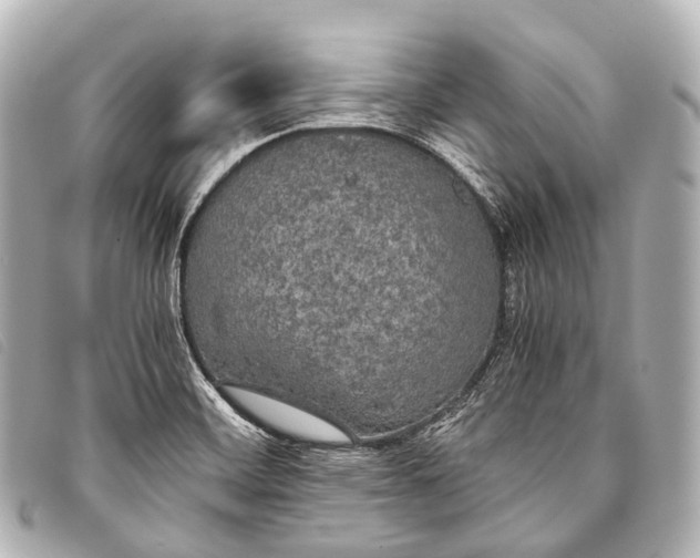 X0000093371468200710251143