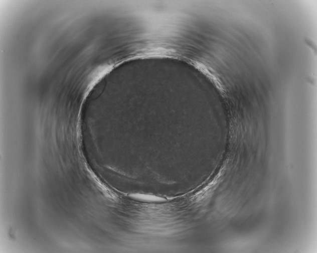 X0000093371469200710251143