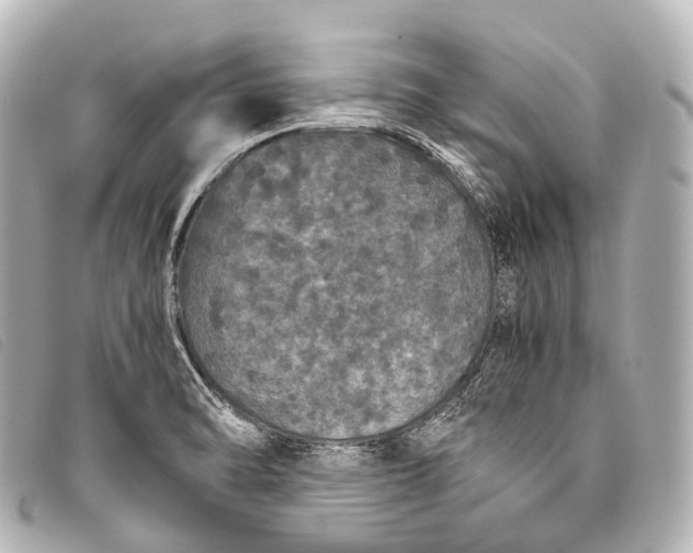 X0000093371470200710251143