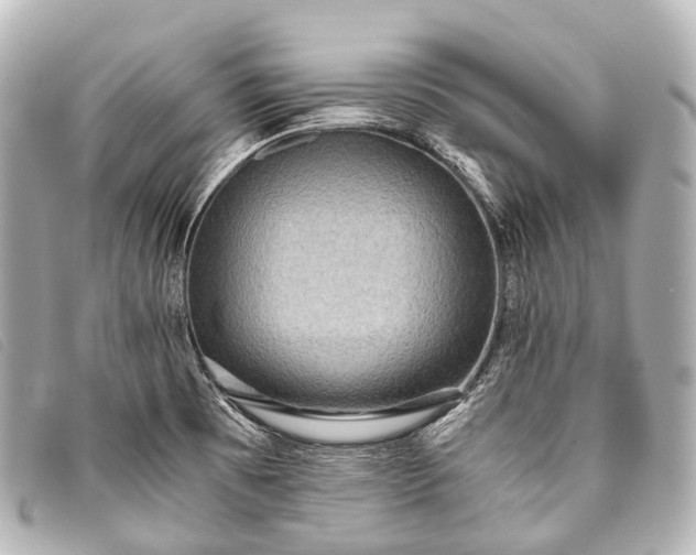 X0000093371473200710251143