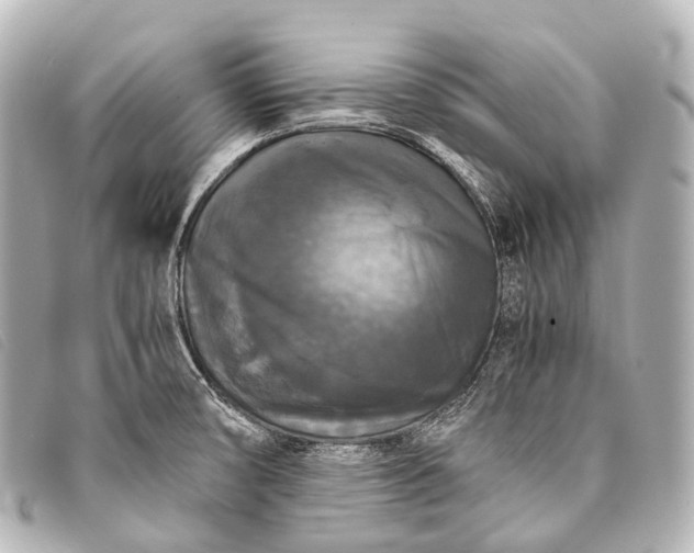 X0000093371474200710251143