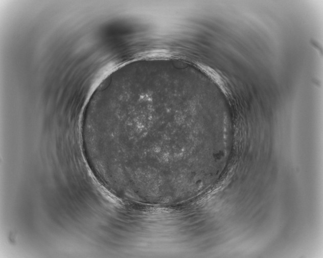 X0000093371475200710251143