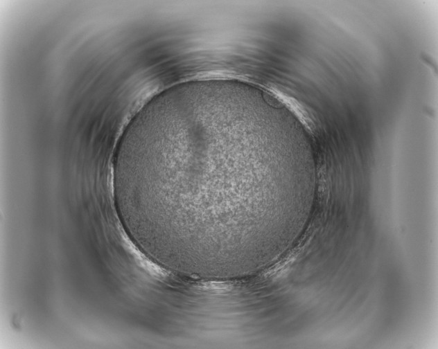 X0000093371476200710251143