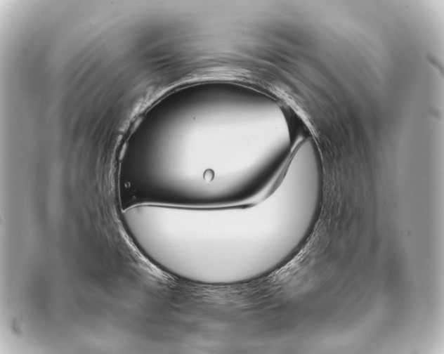 X0000093371477200710251143